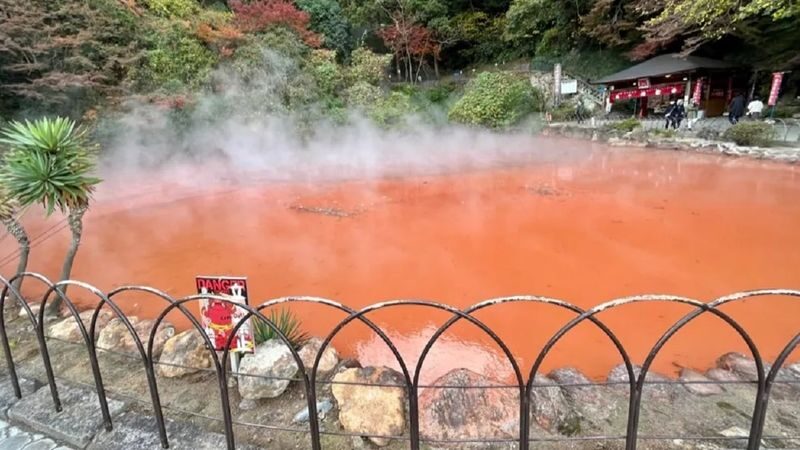 Kyushu Wildlife Park & Yufuin Full-Day Hot Springs Tour - Guide support and the value of good pacing
