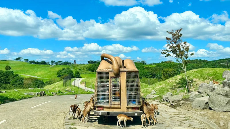 Kyushu Wildlife Park & Yufuin Full-Day Hot Springs Tour - Should you book it?