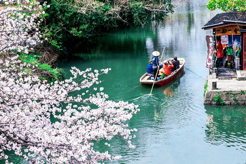 Kyushu Yanagawa & Itoshima Day Trip: Meoto Iwa & Ichiran Ramen & Yanagawa River Cruise & Shiraito Falls/Raizan Sennyoji Temple & Dazaifu Tenmangu Shrine (Departing from Fukuoka) - Shrines: Dazaifu or Miyajidake?