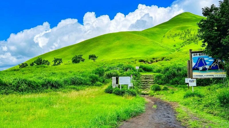 Kyushu Yufuin no Mori Sightseeing Train + Umi Jigoku (Sea Hell) + Kyushu Natural Zoological Park + Yufuin + Mount Yufu Trailhead (Departing from Fukuoka, with Chinese, English, and Japanese guides) - Who should book this day trip?