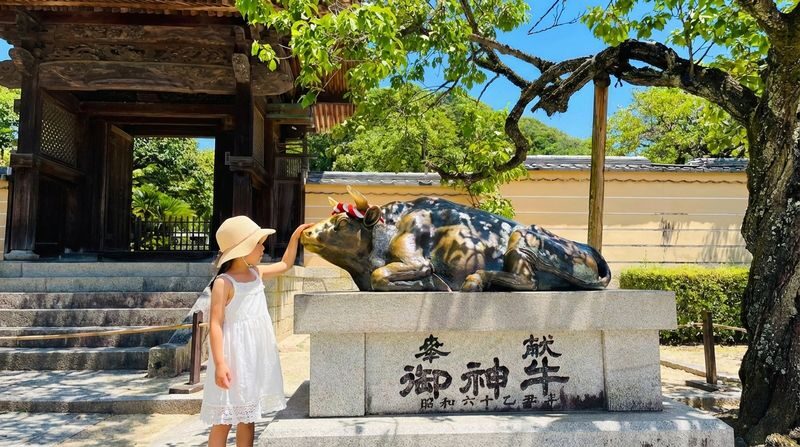 Kyushu Yufuin no Mori Sightseeing Train - Yufuin & Yufuin no Mori & Umi Jigoku & Dazaifu (Departing from Fukuoka) - Yufuin no Mori: scenic rail, with an important fare detail