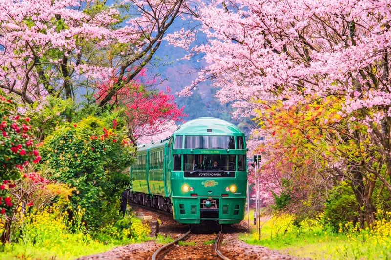 Kyushu Yufuin no Mori Train Experience | Beppu Romantic Day Trip: Yufuin Town, Umi Jigoku Hot Spring, Dazaifu Tenmangu Shrine (Departing from Fukuoka) - A big Kyushu day, with one detail to settle first
