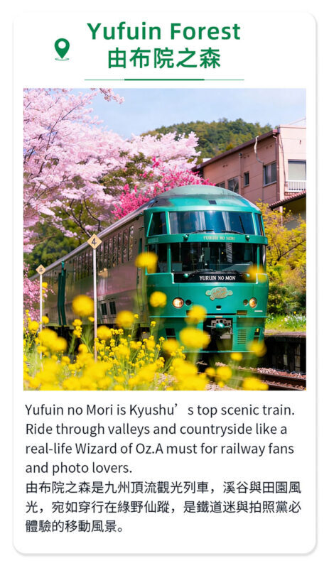 Kyushu Yufuin no Mori Train Experience | Beppu Romantic Day Trip: Yufuin Town, Umi Jigoku Hot Spring, Dazaifu Tenmangu Shrine (Departing from Fukuoka) - The zoo stop: a family-friendly change of pace