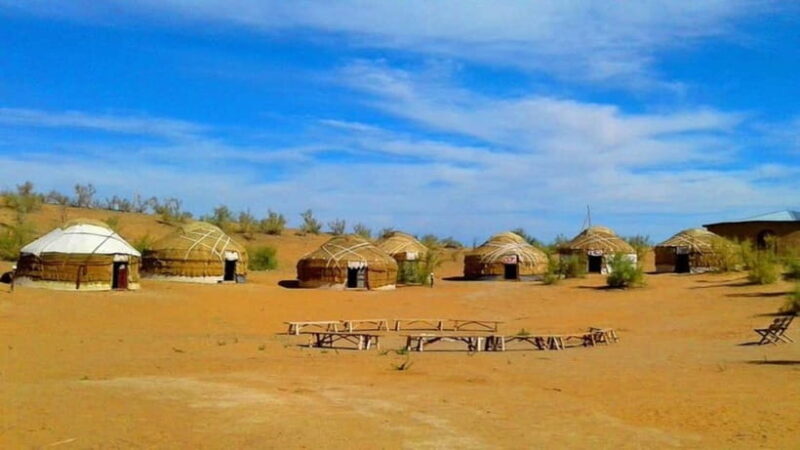 Kyzylkum Desert tour from Bukhara (1 Night 2 Days) - What We Loved About This Tour