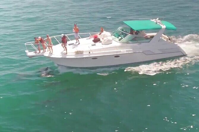 LA: Birthday Special Private Yacht (1 ticket covers 1-6 people) - How the Reviewers See It