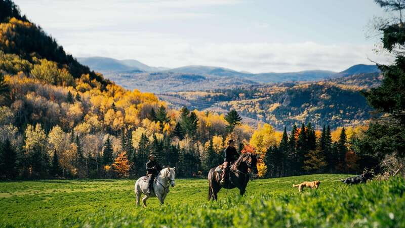 La Bleuetière: A charming introduction to horseback riding - La Bleuetière: A charming introduction to horseback riding
