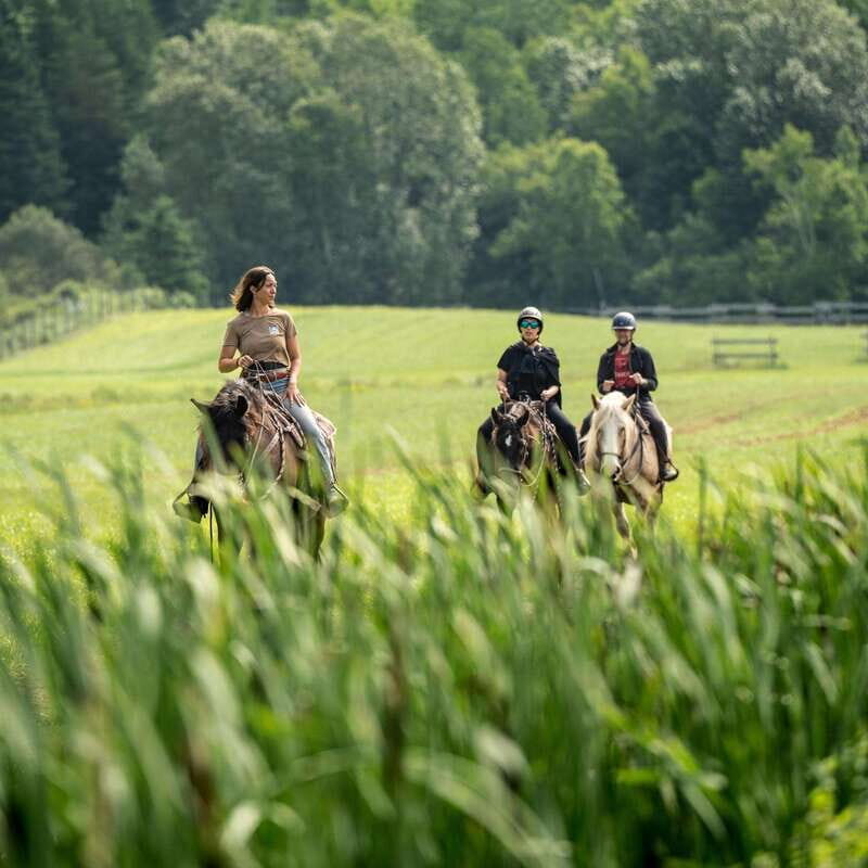 La Bleuetière: A charming introduction to horseback riding - The Sum Up