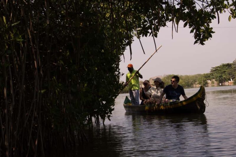 La Boquilla: 3-Hour Canoe Tour through the Mangroves - The Experience: Pros and Cons