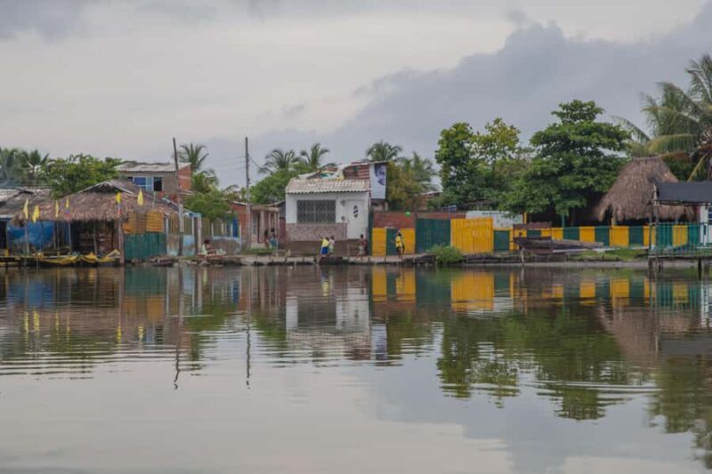 La Boquilla: 3-Hour Canoe Tour through the Mangroves - Final Words