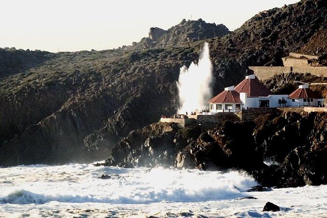 La Bufadora Tour in Baja California - A Deep Dive into the La Bufadora Tour Experience