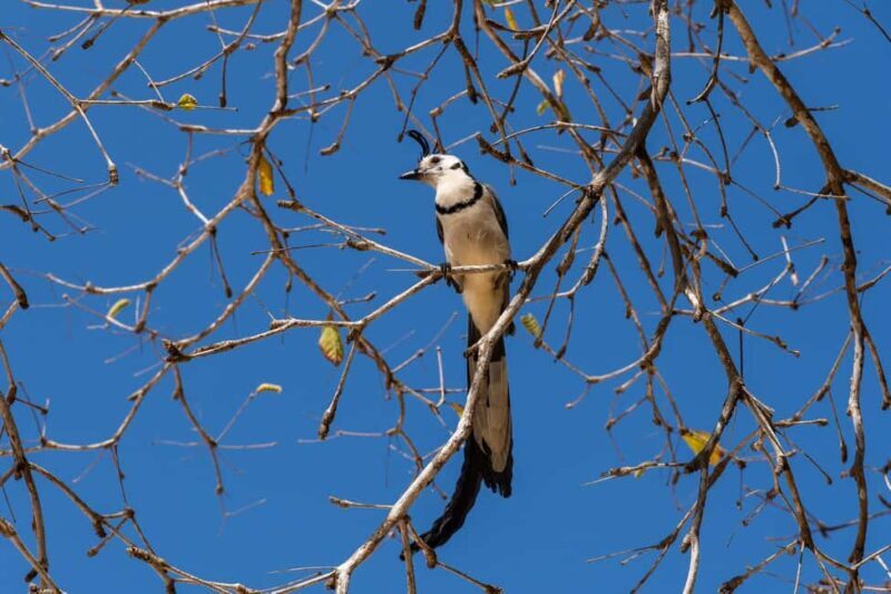 La Crucecita: Hiking and Snorkling/ Drinks and Fruits - Practical Tips for Travelers