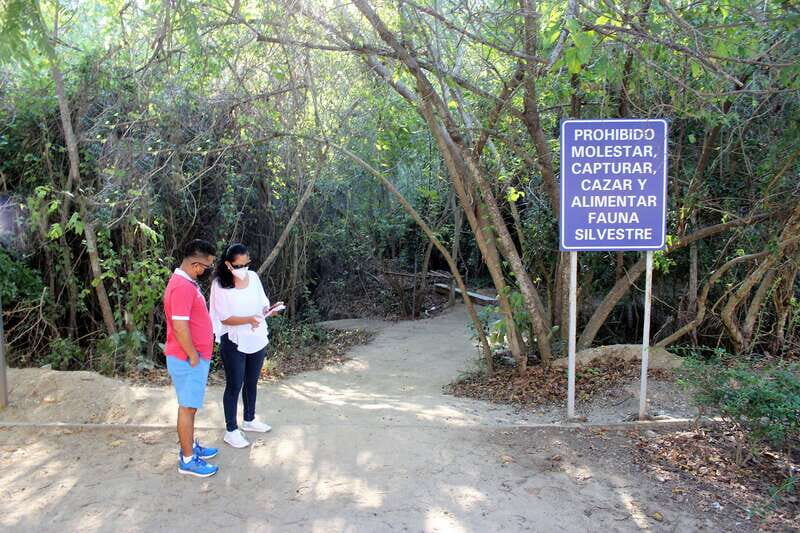 La Crucecita: Hiking and Snorkling/ Drinks and Fruits - Who Will Love This Tour?
