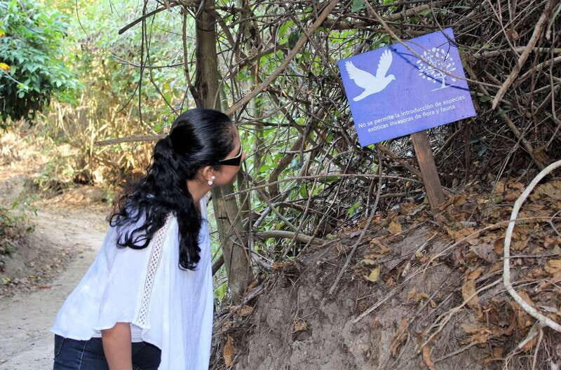 La Crucecita: Hiking and Snorkling/ Drinks and Fruits - Final Thoughts: A Balanced Blend of Nature and Adventure