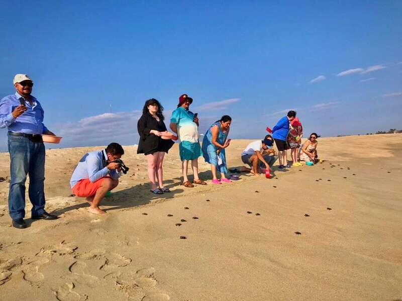 La Crucecita: Magic Lagoon Bioluminescence and Turtles Tour - The Bioluminescence at Manialtepec Lagoon