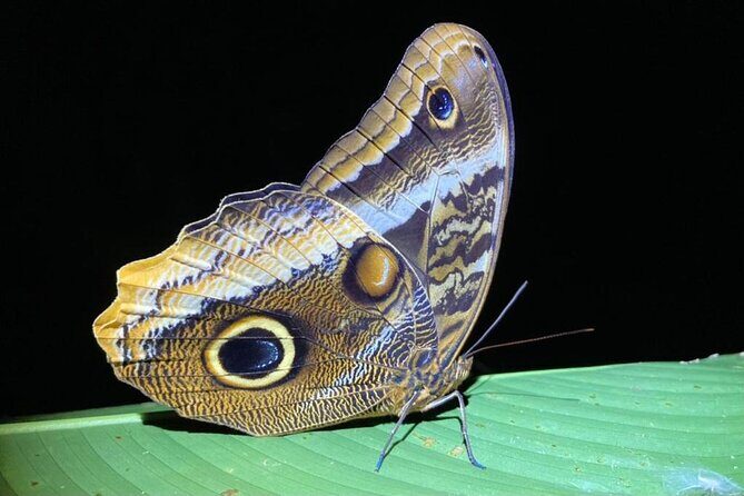 La Fortuna Arenal Butterfly Garden - FAQ