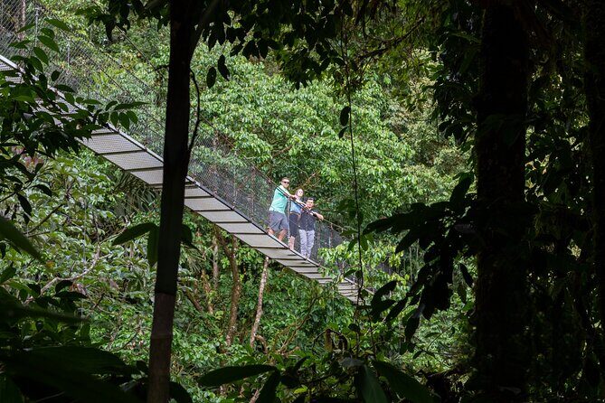 La Fortuna: Arenal Hanging Bridges Hiking Tour - A Thorough Look at the Arenal Hanging Bridges Hiking Tour in La Fortuna