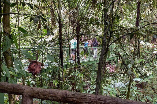 La Fortuna: Arenal Hanging Bridges Hiking Tour - Key Points