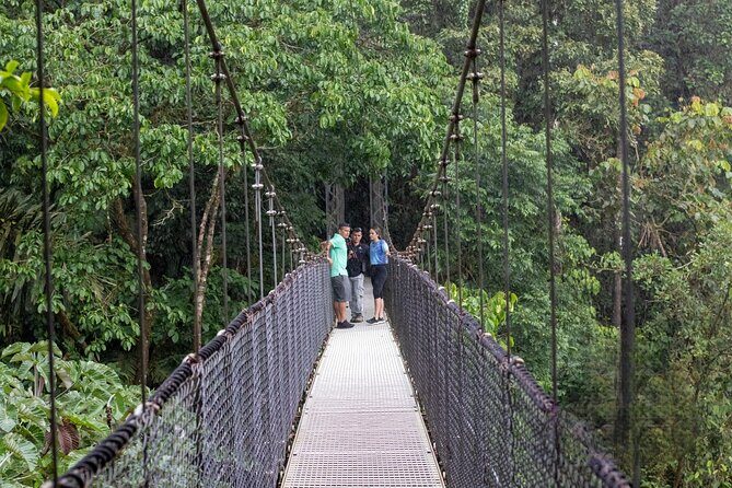 La Fortuna: Arenal Hanging Bridges Hiking Tour - Who Will Love This Tour?