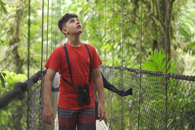 La Fortuna Full Day Waterfall, Arenal Volcano and Hanging Bridges - Key Points