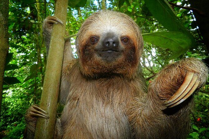 La Fortuna Guided Day Nature Experience 2hrs - Key Points