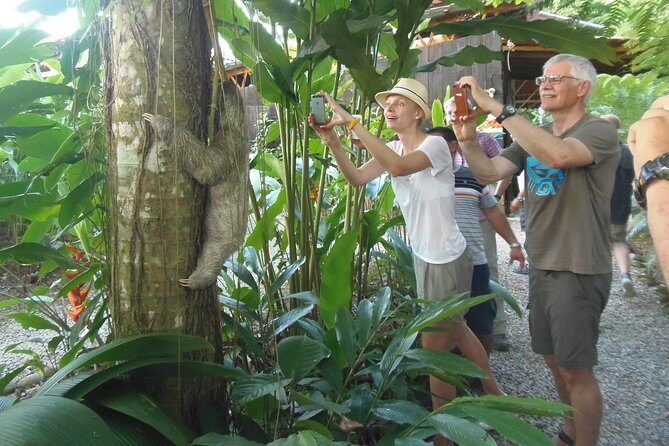 La Fortuna Guided Day Nature Experience 2hrs - Who Will Enjoy This Tour?