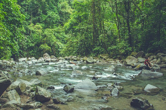 La Fortuna Waterfall Park & Farm to Table Lunch - Practical Tips for Your Visit