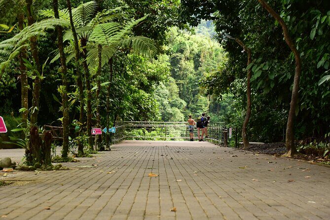 La Fortuna Waterfall Park & Farm to Table Lunch - Final Thoughts: Is This Tour Right for You?