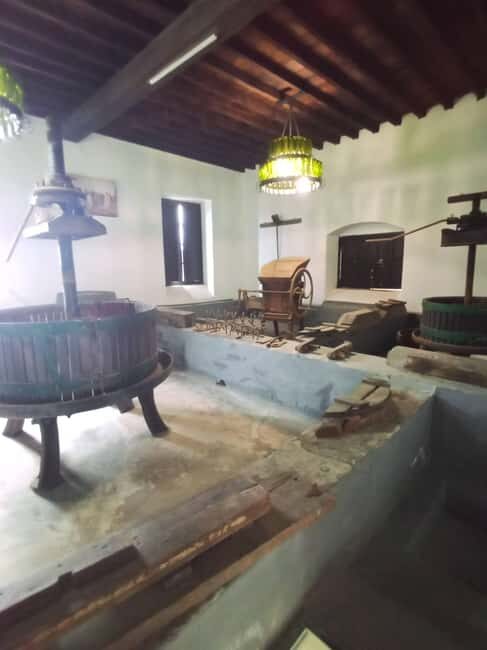La Geria: a walk among volcanoes and vineyards - La Geria: a walk among volcanoes and vineyards