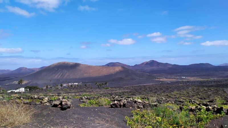 La Geria: a walk among volcanoes and vineyards - The Sum Up