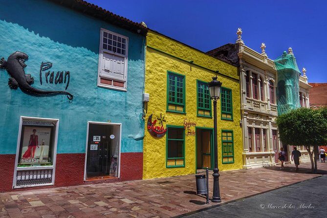 La Gomera Day Trip from Tenerife - Key Points