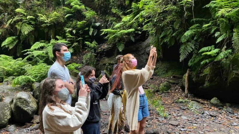 La Gomera: Garajonay National Park Entry Ticket and Tour - Key Points