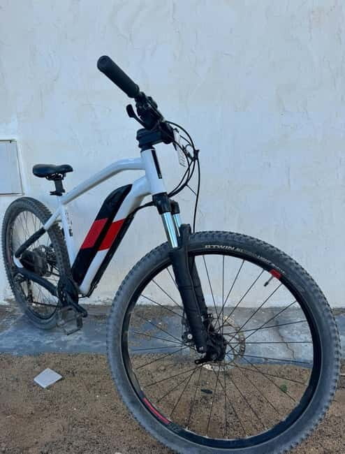 La Graciosa: Rent your ELECTRIC BIKE and explore the island at your own pace. - Who Will Enjoy This?
