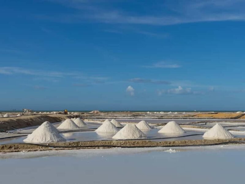 La Guajira: Manaure Salt Flats & Flamingos Day Trip - A Comprehensive Look at the Manaure Salt Flats & Flamingos Day Trip