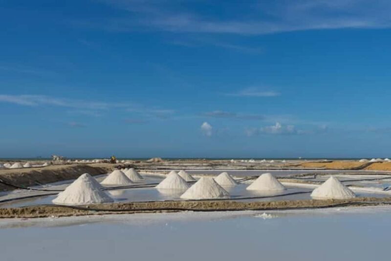 La Guajira: Manaure Salt Mines Tour and Wayuu Ranch - Who Will Love This Tour?
