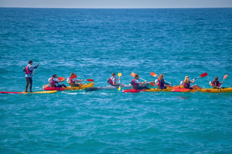 La Herradura: Kayak Tour in Cerro Gordo Natural Park - Key Points