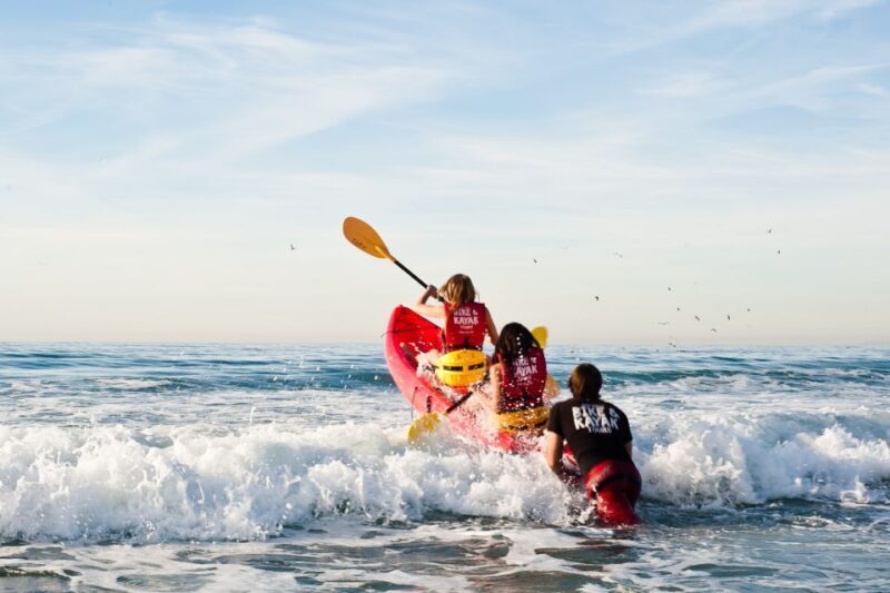 La Jolla: 2-Hour Kayak Tour of the 7 Caves - An In-Depth Look at the La Jolla Kayak Tour