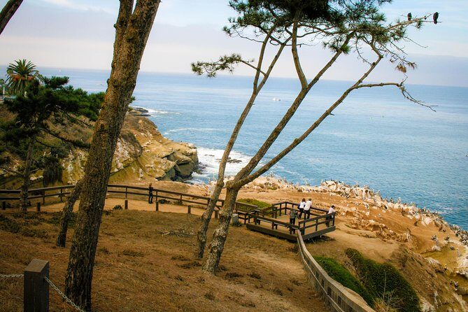 La Jolla Electric Bike Tour - Exploring La Jolla on Two Wheels: A Deep Dive