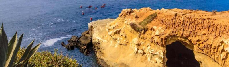 La Jolla: Full-Day Snorkel Gear Rental with Wetsuit Option - Exploring La Jolla: What to Expect from the Snorkel Rental