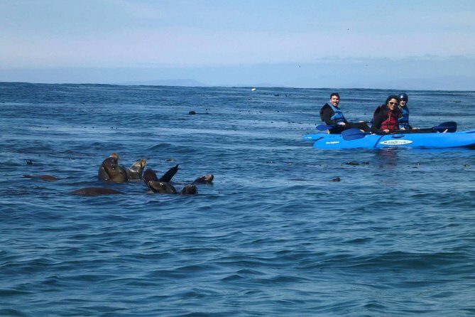 La Jolla Sea Caves Kayak Tour For Two (Tandem Kayak) - Authentic Experiences from Travelers