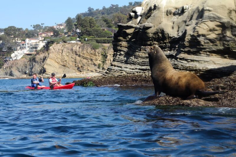 La Jolla: Sunset Kayak Tour of the 7 Caves - Final Thoughts