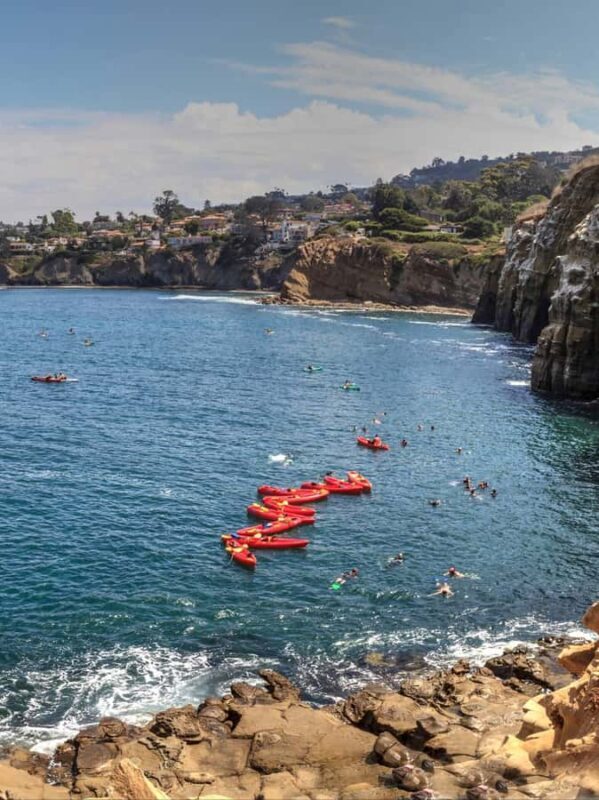 La Jolla - The Jewel of San Diego - Guided Walking Tour - An In-Depth Look at the La Jolla Walking Tour