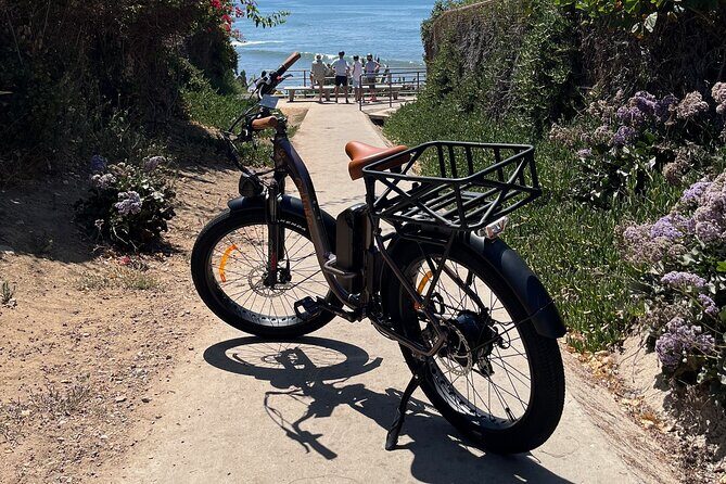 La Jolla's Best Coastal Electric Bike Tour - In The Sum Up