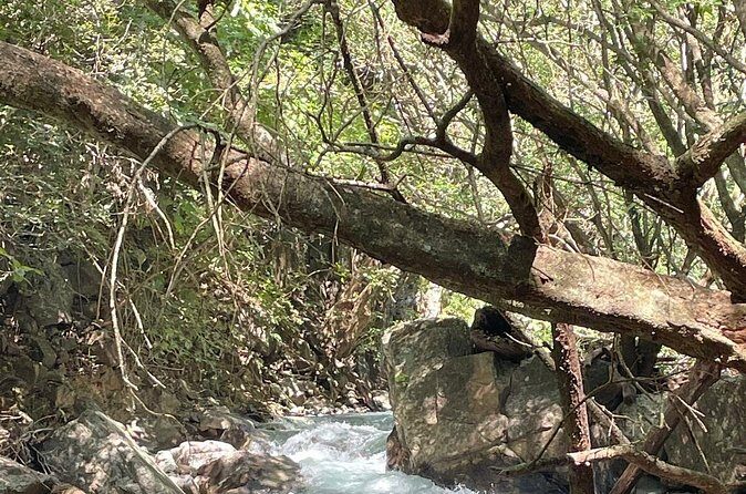 La Leona Waterfall Hiking Tour + Lunch - What’s the Value?