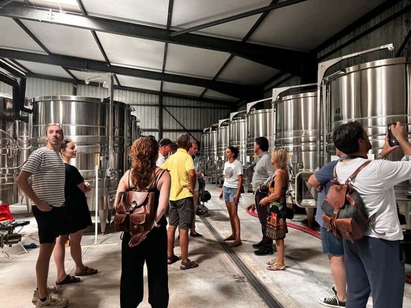 La Londe-les-Maures: Half-Day Wineries Tour with Tastings - What Makes This Tour Stand Out?