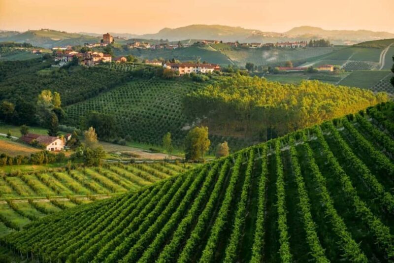 La Madama: A Journey through Piedmont's Tradition and Wines - La Madama: A Journey through Piedmonts Tradition and Wines