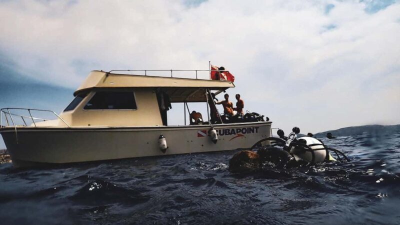La Maddalena Archipelago & Lavezzi: Adventure Dives trip - Key Points