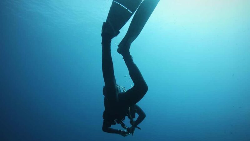 La Maddalena & Lavezzi: Full-Day Boat Scuba Diving Trip - Key Points