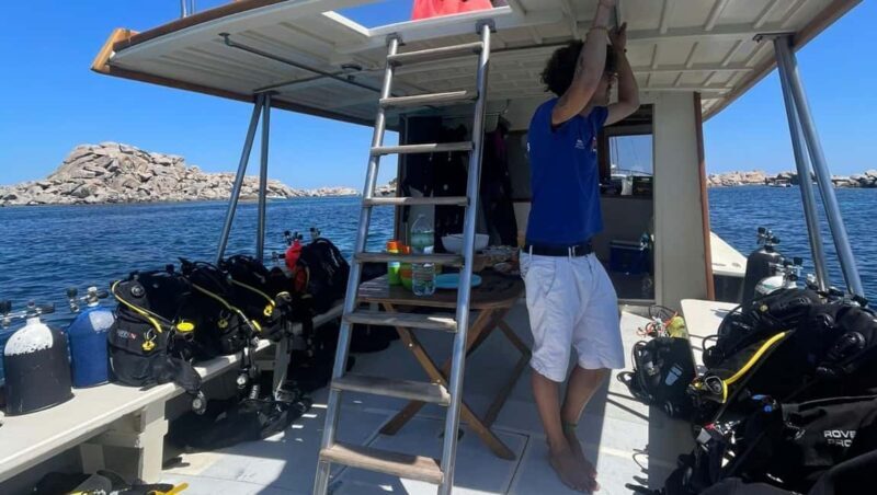 La Maddalena & Lavezzi: Full-Day Boat Scuba Diving Trip - Summary: Who Is This Tour For?