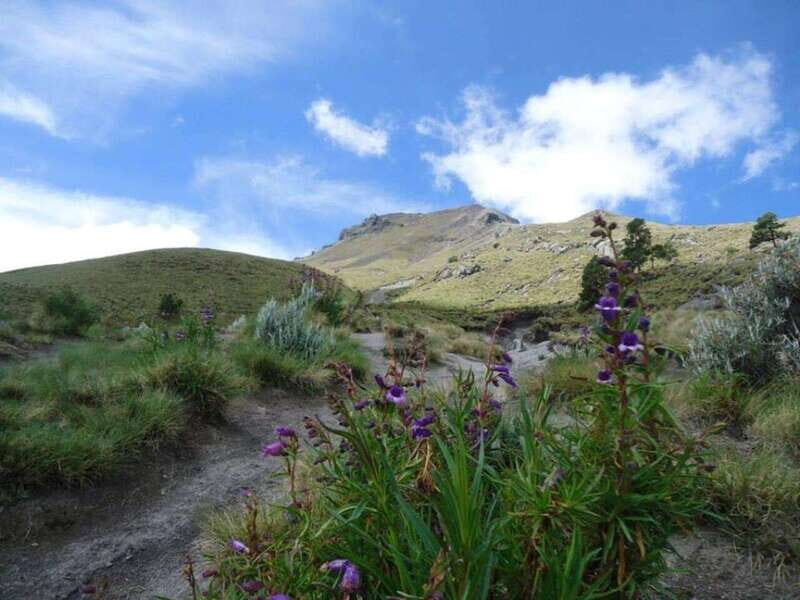 La Malinche Volcano: Hike to the Top and Explore Tlaxcala - The Sum Up