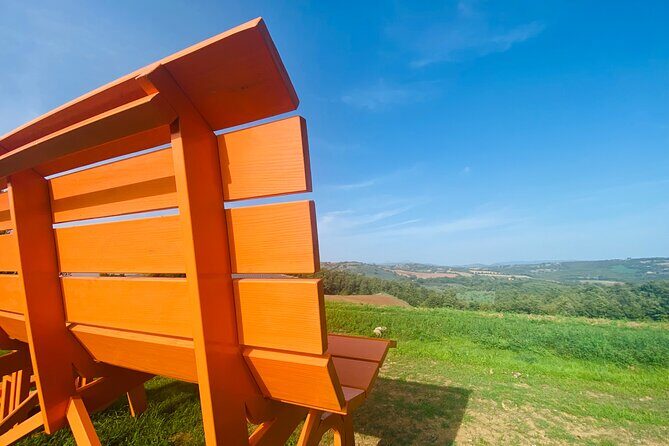 La Maliosa Farm Experience & Wine Tasting - Why This Tour Is Worth Your Time